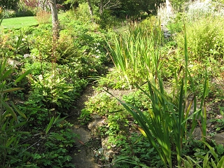 East Lambrook Manor Garden